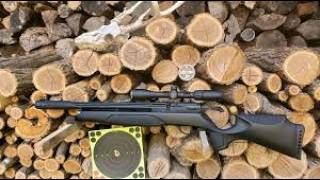 Gamo arrow PCP CHEAP Package  Spain Cheap Pcp airguns [upl. by Erkan490]