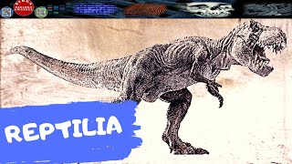 REPTILIA AMNIOTA PALING AWAL  DIRGA BIOLOGY CHANNEL [upl. by Lubet515]