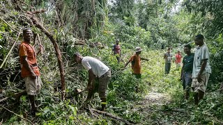 Madagascar  le cyclone Batsirai perd en puissance les risques dinondations demeurent [upl. by Mada]