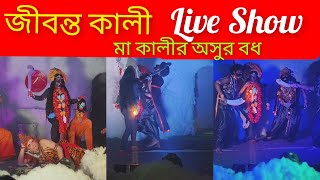 কালী মায়ের Live Performance😱😍🙏 maakali kalipuja2024 kali trending hindufestival maa [upl. by Adnak491]