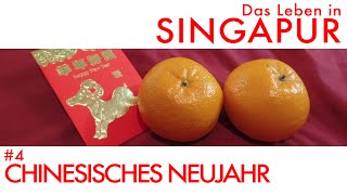 CHINESISCHES NEUJAHR  Das Leben in Singapur 4 [upl. by Nelleyram]