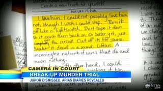 Jodi Arias Journal Entry Shows Strong Motive To Kill Travis Alexander quotCut Off Its Life Sourcequot [upl. by Frum]