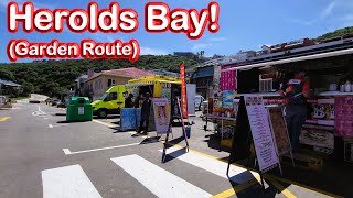 S1 – Ep 285 – Herolds Bay – Spectacular Scenery Beach and Tidal Pools [upl. by Knarf]