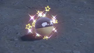 PEV  Voltorbe dHisui Hisuian Voltorb Shiny 2 [upl. by Faux]