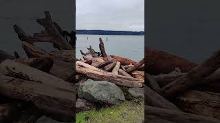 PUGET SOUND Hansville Wa [upl. by Brit]