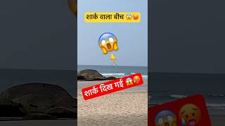 शार्क दिख गई शार्क वाला बीच 😱  Shark Attack  Shark Tank  Beach shorts viralvideo trending yt [upl. by Martinelli]