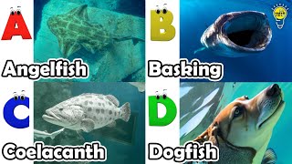 ABC phonics animals  ABC Sea Animals song  English and Animals for Kids  Alphabets Kids Song [upl. by Ehttam]