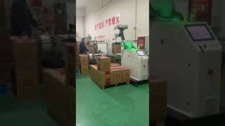 Automatic Cobot Palletizer Carton Case Bag Collaborative Robot Palletizer Stacking Machine [upl. by Mari]