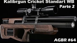 KALIBRGUN CRICKET STD PARTE 2  AGBR 64 [upl. by Caesar]