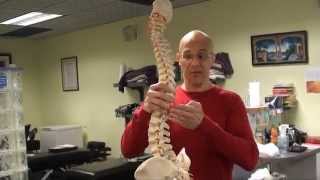 Bending the Correct Way Back Pain Sciatica Herniated Disc amp Pinched Nerve  Dr Mandell [upl. by Adaline]