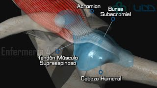 🌟EXAMEN DE LAS EXTREMIDADES SUPERIORES🌟 [upl. by Angid]