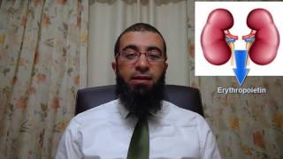 Cyanotic Congenital Heart disease By Dr Mohamad Medhat [upl. by Haiel546]