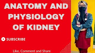 Anatomy and physiology of kidney  overview of kidney  Renal Physiology  Part 1 [upl. by Nauaj532]