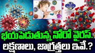 భయపెడుతున్న నోరో వైరస్  Norovirus Symptoms and Precautions  Breaking News  Top Telugu TV [upl. by Anwahs117]