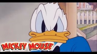 Micky Maus Kicherkracher  Kurzfilm Donald der Chefkoch  Disney Channel [upl. by Gibbeon944]