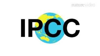 25 years of the IPCC  Nature Video [upl. by Loria911]