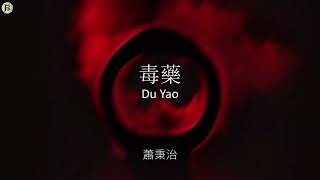 毒藥 Du Yao  蕭秉治 Xiao Bing Chih Lyrics Video W Pinyin [upl. by Mayap393]