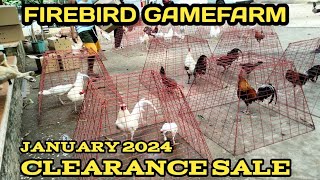 CLEARANCE SALE I FIREBIRD GAMEFARM I DAMING NAKA RESERVED [upl. by Hurley]