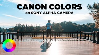 Warna Canon di Kamera Sony Alpha picture profile [upl. by Tterag619]