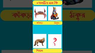 ফলটির নাম কিGuess The FruitsGK Mojar Dhadhabanglaধাঁধাpointgkধাঁধাshortsvrialtradingdha [upl. by Ellehsad512]