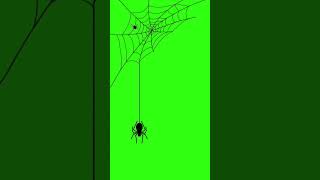 spider web green screen 🕷️🕸️shorts shortsfeed shortsgreenscreen [upl. by Cuda]