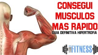 GUIA DEFINITIVA DE HIPERTROFIA  COMO GANAR MUSCULOS [upl. by Camella254]