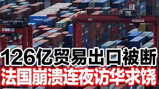 126亿贸易出口被断，法国崩溃连夜访华求饶 [upl. by Nsaj]