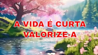 A Vida é Curta Valorizea Mensagem de Bom Dia e Reflexão [upl. by Voss704]