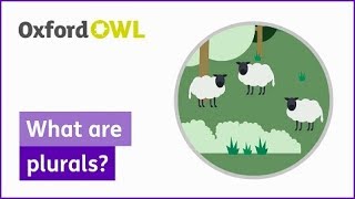 What are plurals  Oxford Owl [upl. by Ymorej]