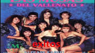 las musas del vallenato que desastre dj frank rangel [upl. by Atirabrab]