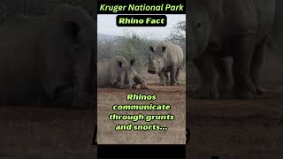 Interesting Facts  Kruger National Park  Wildlife with Rusty and Dusty [upl. by Eelyr]