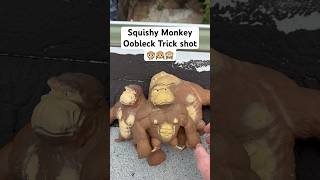 Squishy Monkey Oobleck Trick Shots 🙊🙉🙈 trickshots oobleck [upl. by Merridie]