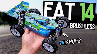 The BEST CHEAP BRUSHLESS Buggy EVER  Eachine EAT14 [upl. by Assirahs]