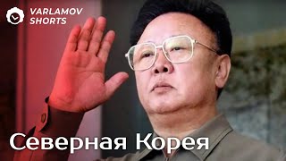 Северная Корея — рай для социализма  Варламов [upl. by Iphigenia10]