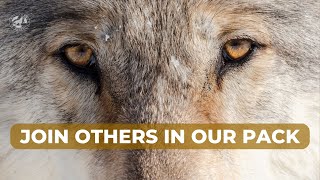 Join Others in Our Pack [upl. by Corkhill]