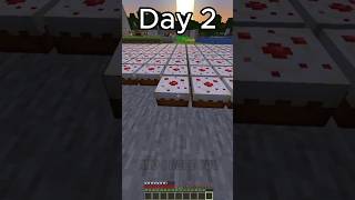 Day 2 of Placing a Cake for Every Subscriber [upl. by Vachill]