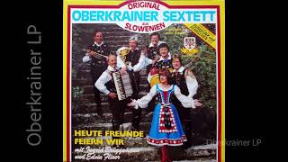 Oberkrainer Sextett  Slovenski muzikantje  HEUTE FREUNDE FEIERN WIR  1984 [upl. by Verdha641]