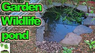 Step By Step How To Build A Wildlife Pond For Your Garden Or Allotment [upl. by Ylreveb]