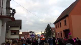 Nature one carnaval a Roppenheim 2015 [upl. by Airdnazxela]