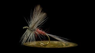 Dark Coty  Catskill Dry Fly [upl. by Carthy]