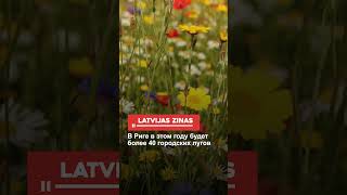 В Риге в этом году будет более 40 городских лугов [upl. by Aissela]