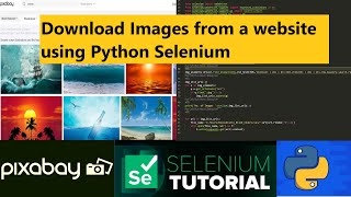 Download Images from a Website using Python Selenium and Requests Library [upl. by Atolrac]