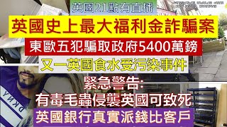 英國老人院新聞 英國史上最大福利金詐騙案、東歐五犯騙取政府5400萬鎊，又一英國食水受污染事件，有毒毛蟲侵襲英國可致死，英國銀行真實派錢比客戶 2024 五月三十一號 [upl. by Acinhoj]