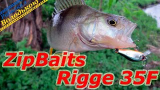 ZipBaits Rigge 35F мій улюблений ультралайтовий воблер Огляд японського воблера Зип Бейтс Ридж 35 [upl. by Rifkin191]