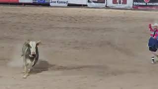 Part 2 Benson Butterfield Rodeo Evening Day One at Arena Bar and Rodeo Grounds in Benson 101224 [upl. by Fredek141]