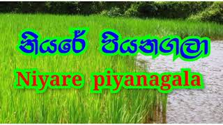 නියරේ පියනගලා  Niyare piyanagala song [upl. by Mitinger]