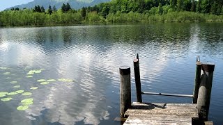 Wanderung um den Bärnsee  Aschau im Chiemgau [upl. by Borgeson]