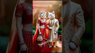 Party Mai mujhko jana milega acha khana beautiful cat reddy party viralreels [upl. by Idrahs266]