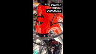 Cannondale Scalpel Carbon 2 Lefty [upl. by Ecinrahs]