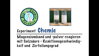 Experiment Chemie – Magnesium und Salzsäure – Reaktionsgeschwindigkeit und Zerteilungsgrad [upl. by Asin609]